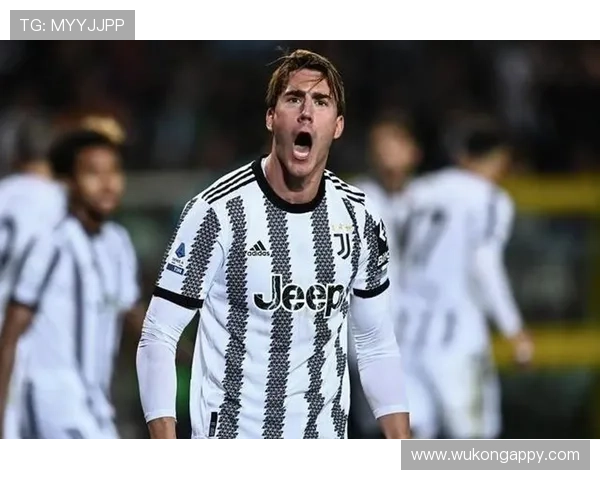 与顶级中锋竞争:弗拉霍维奇如何争夺地位