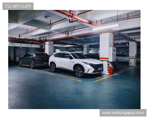 伊布今儿走路带风,看他家豪车库能拍个综艺了吧?