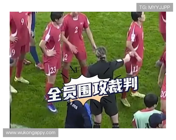 VAR判罚依据到底有哪些核心标准让裁判无法忽视?