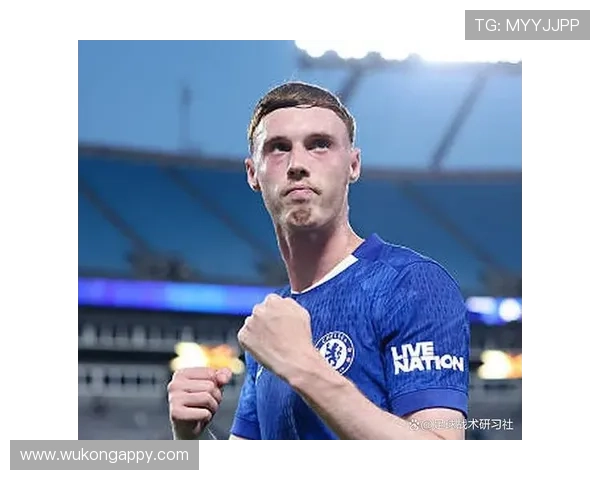 帕尔默是否为体系产物 战术适配与角色依赖度解析