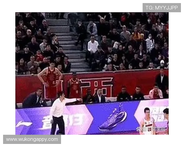 争球规则中裁判判罚的关键条件与执行细则解析