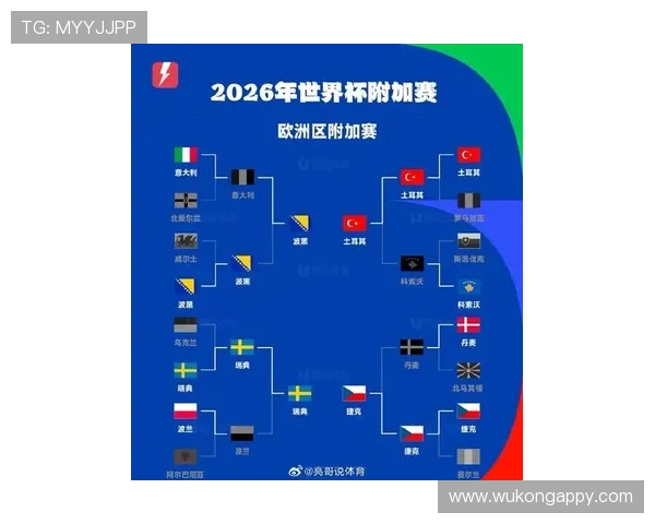 波黑国家队2026世界杯预选赛突围前景分析 核心阵容能否创造历史